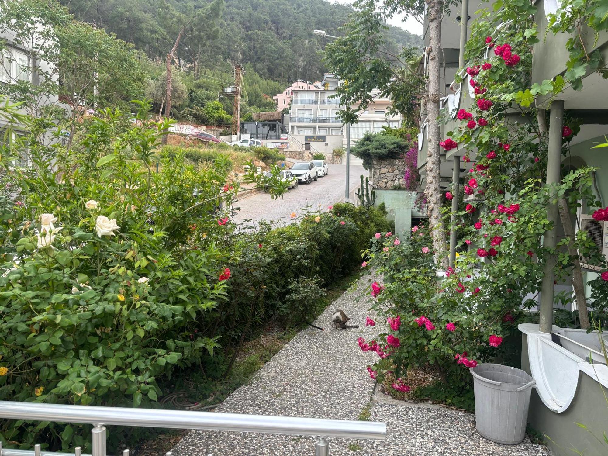 Ideal Pension Fethiye Exterior foto